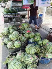 合肥吃瓜网红事件视频,揭秘网络舆论的风暴与真相